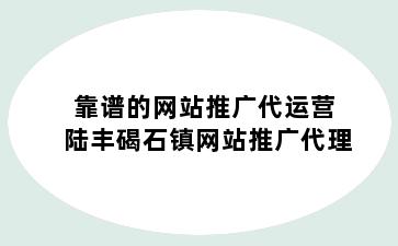 靠谱的网站推广代运营 陆丰碣石镇网站推广代理